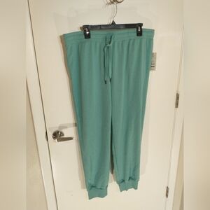 Secret Treasures Green Sleep Cuff Pant,Time and Tru Plush Velour Jogger SzXL NEW